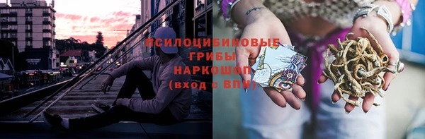 дурь Бородино