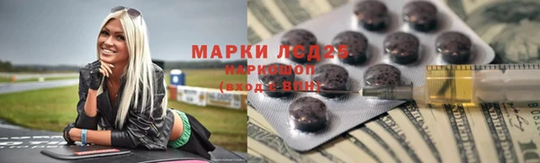 дурь Бородино