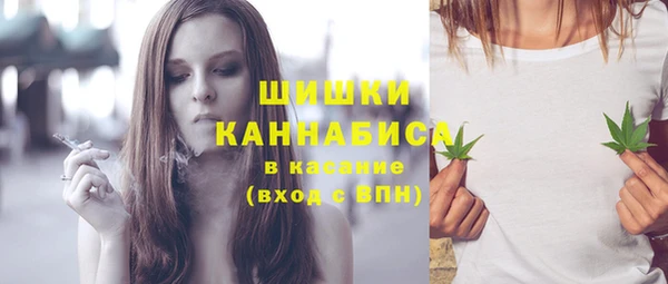 дурь Бородино
