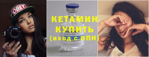 дурь Бородино