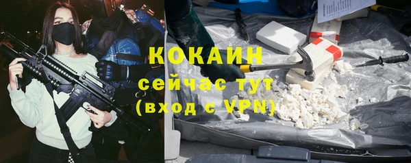 дурь Бородино