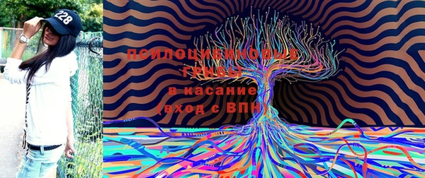 дурь Бородино