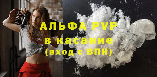 дурь Бородино