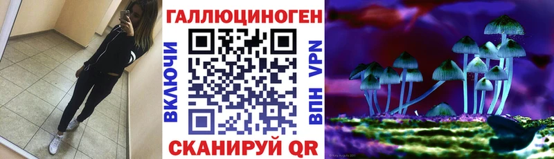 Галлюциногенные грибы Psilocybe Тихорецк