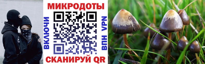 Галлюциногенные грибы GOLDEN TEACHER  наркотики  кракен зеркало  Тихорецк 